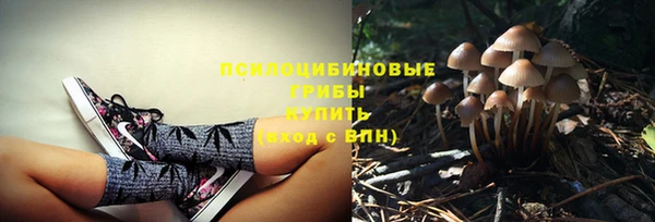 a pvp Арсеньев