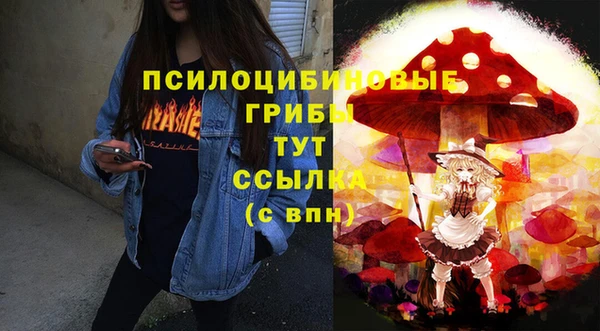 a pvp Арсеньев