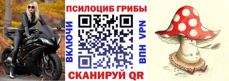 hydra вход  Таруса  Псилоцибиновые грибы мухоморы  купить наркоту 
